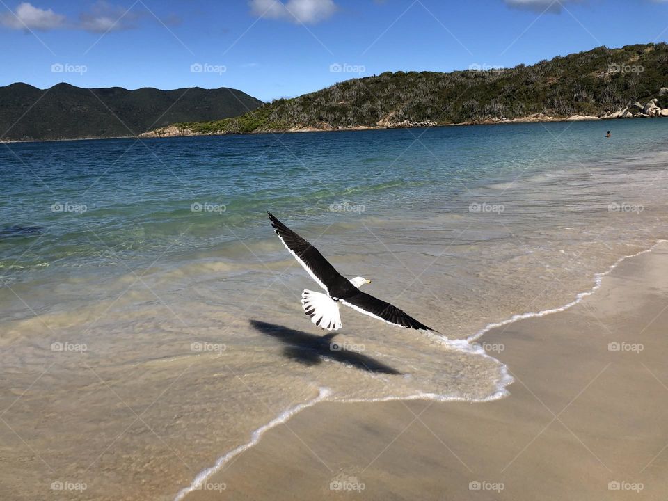 Praia do Forno. Arraial do Cabo.