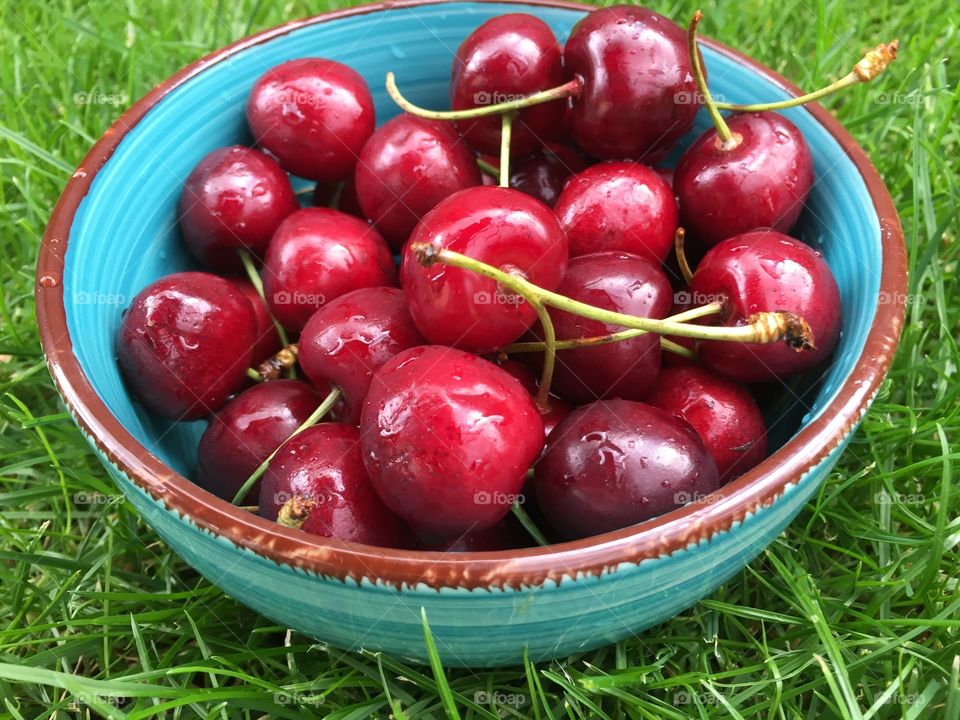 Cherries in a turquoise bowl in the grass