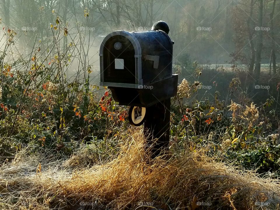 mailbox on a frosty autumn m