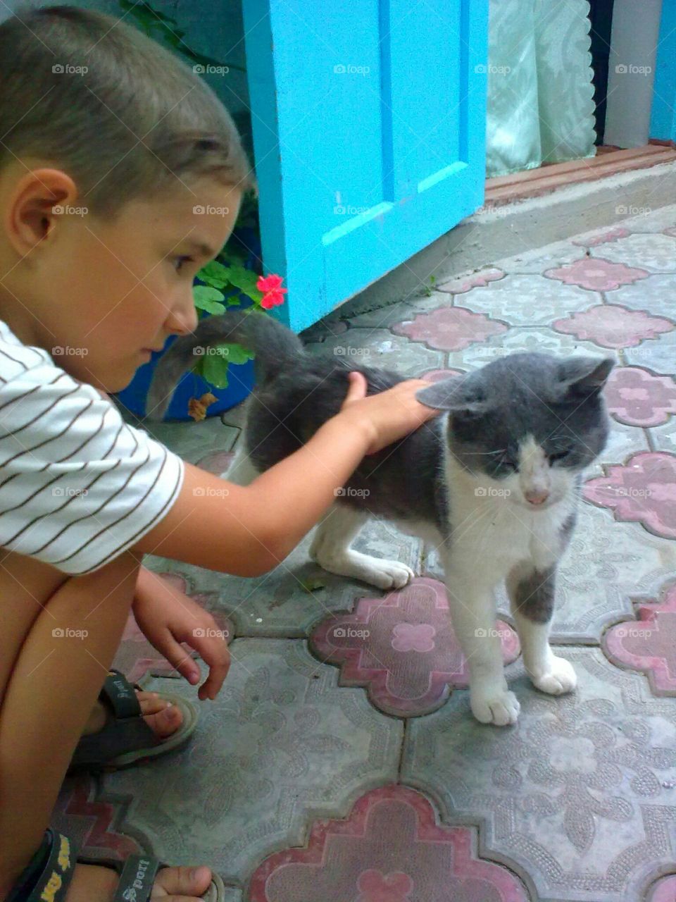 A boy and a cat