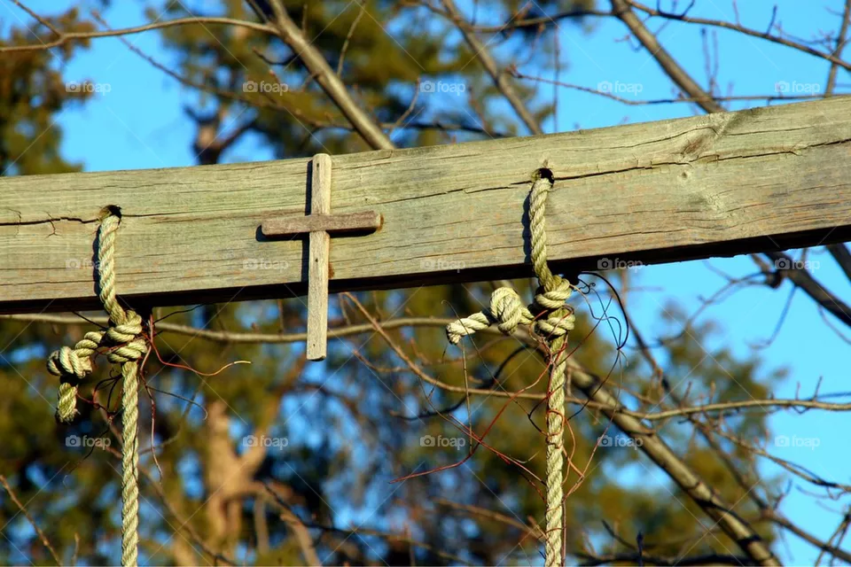 Cross