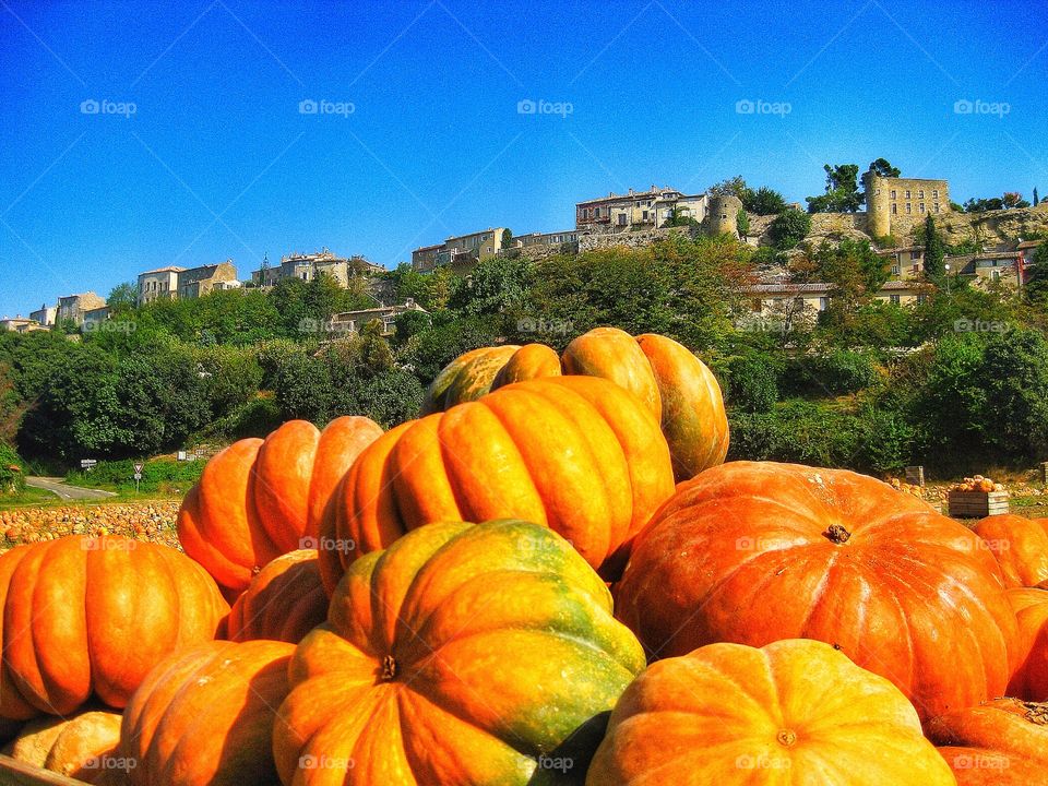 Fall in Provence