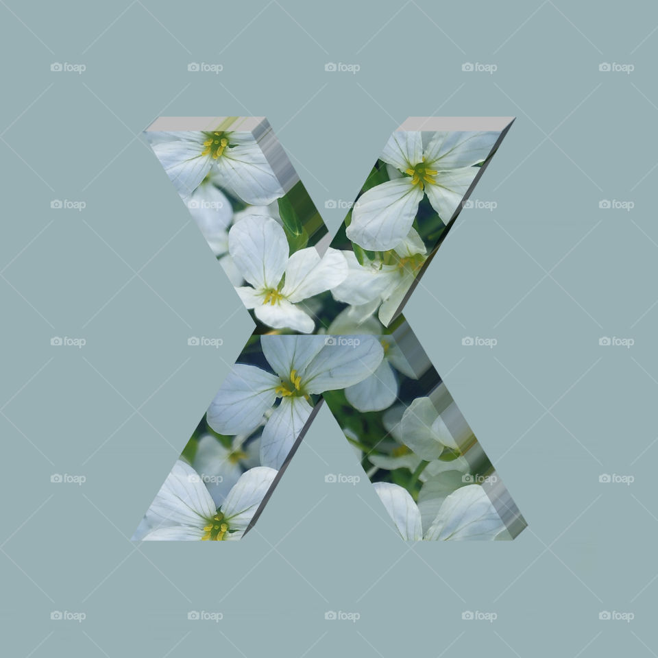 X alphabet 3d rendering of vertical white flowers alphabet