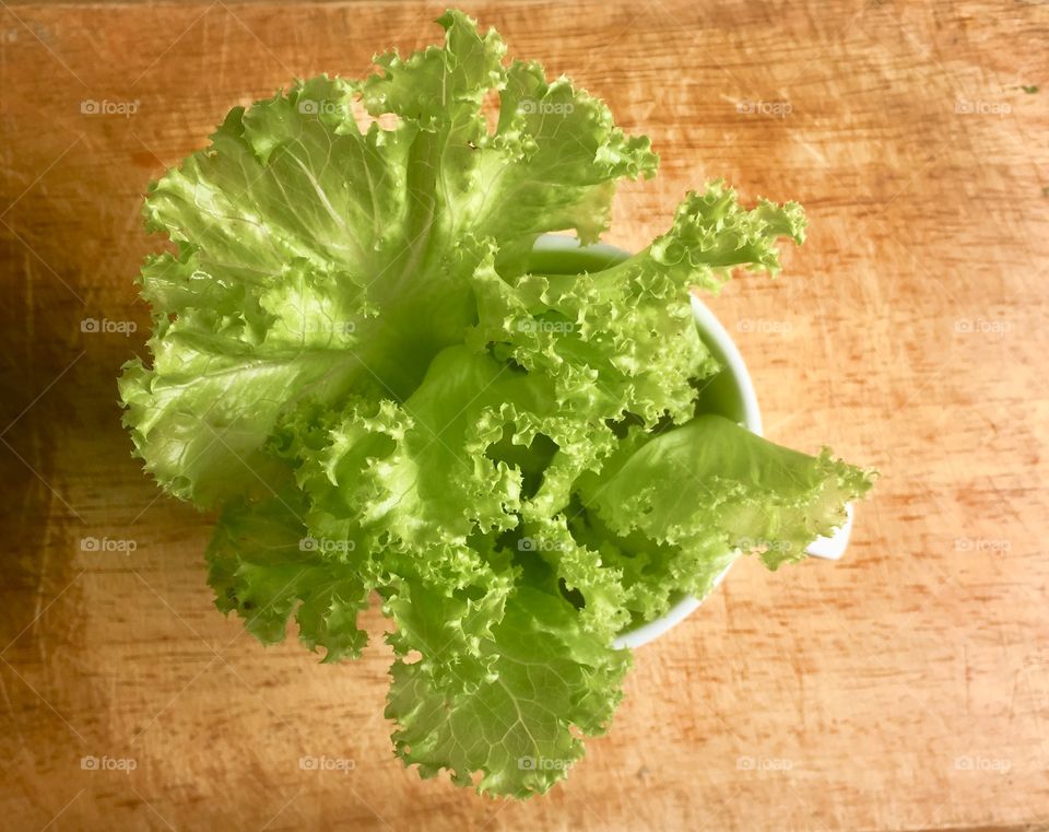 Lettuces 
