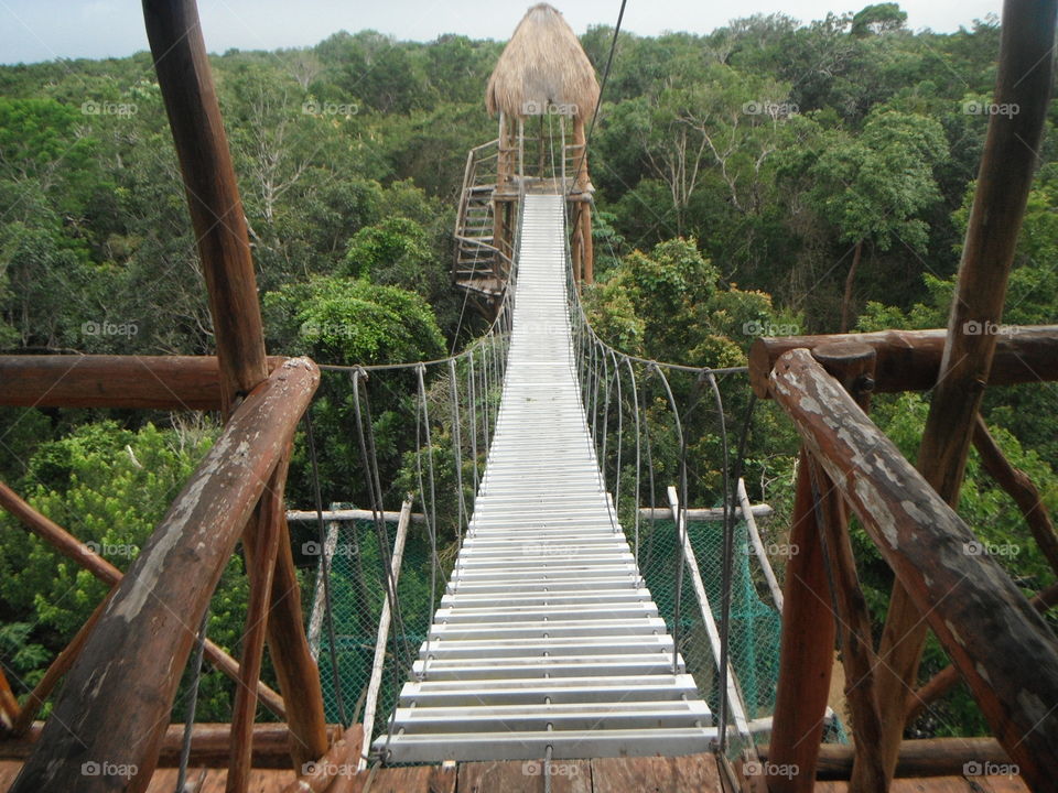 adventur tour in mexican jungle