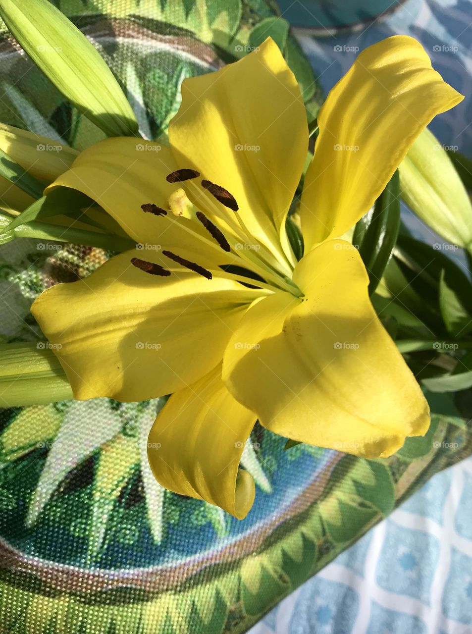 Yellow lilies on pattern 