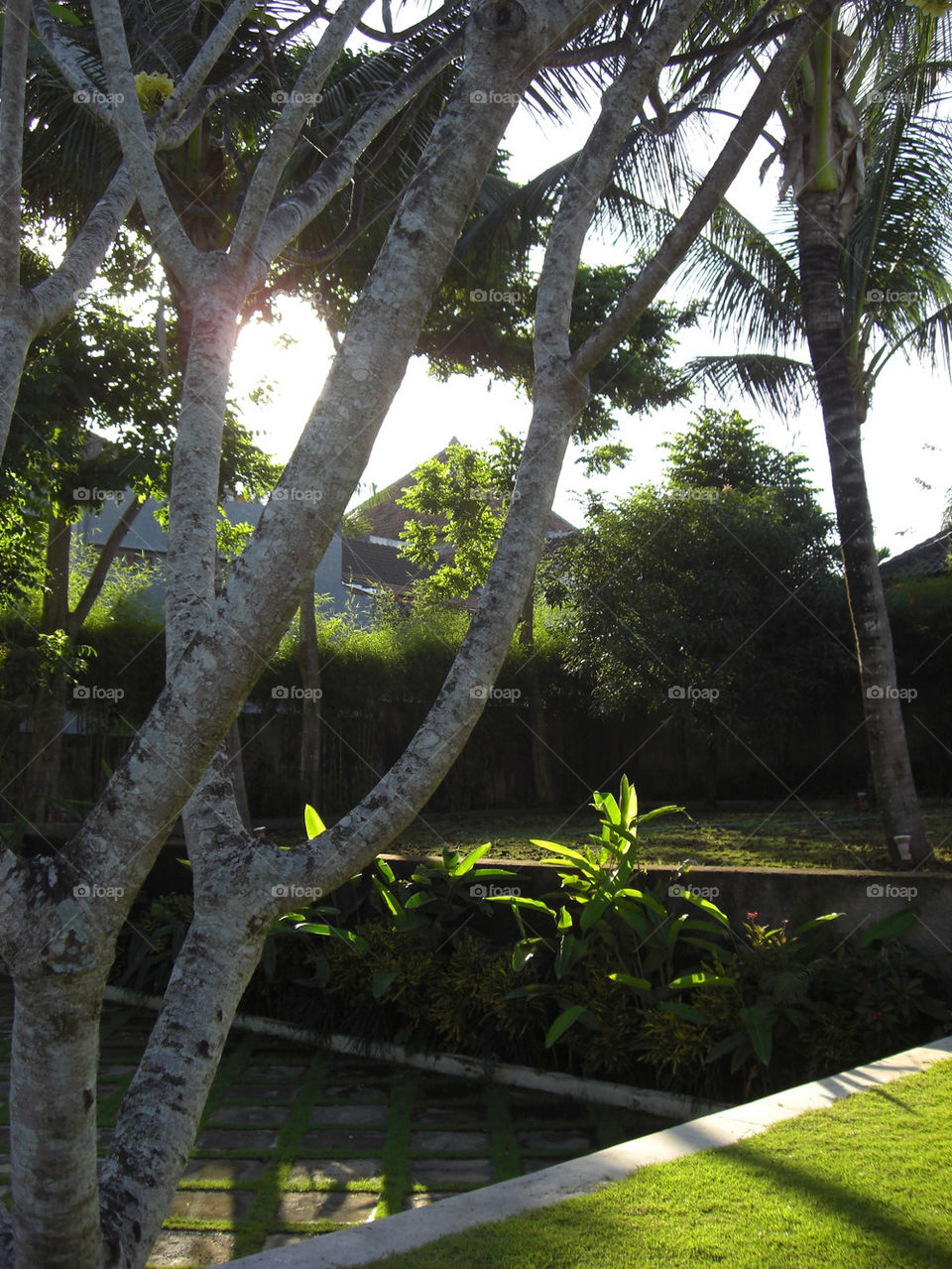 green nature travel alone by thepapierdollies