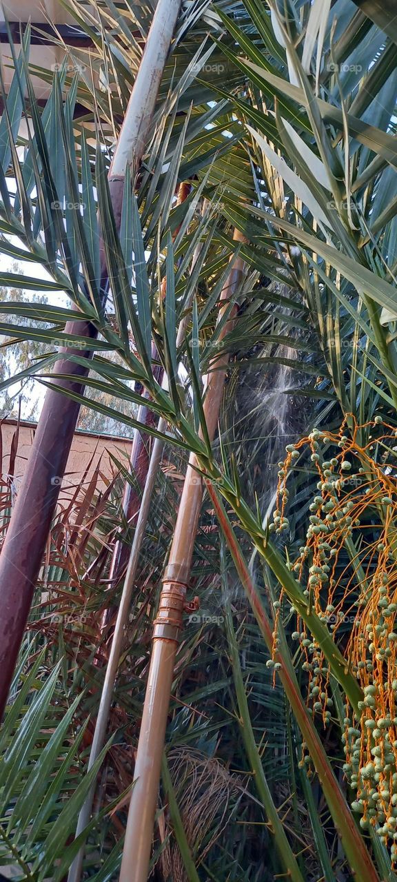 Landscape of water, greenery and trees