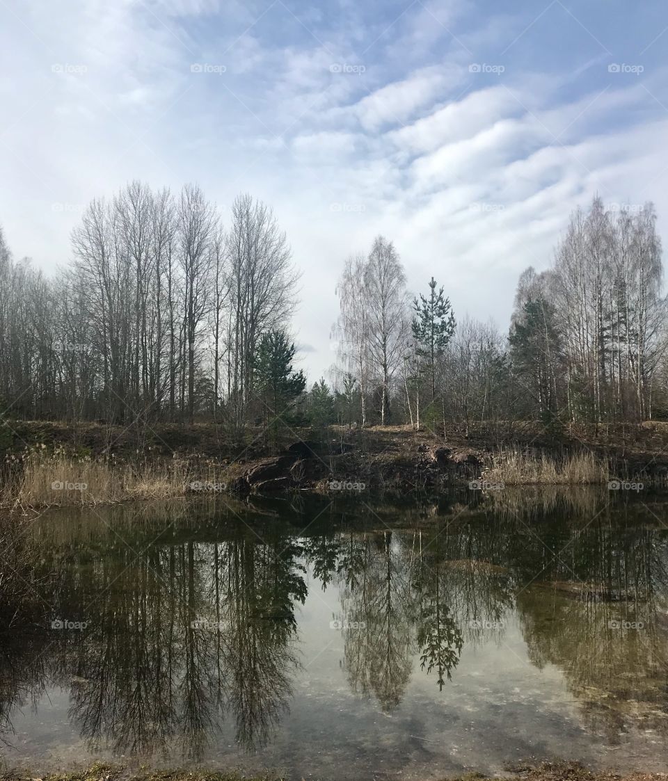 Spring on the countryside.