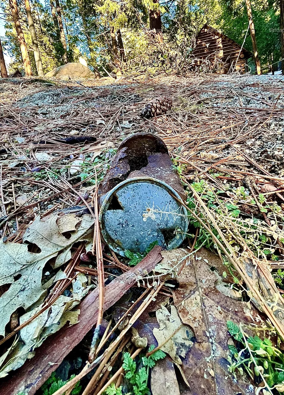 Tin can