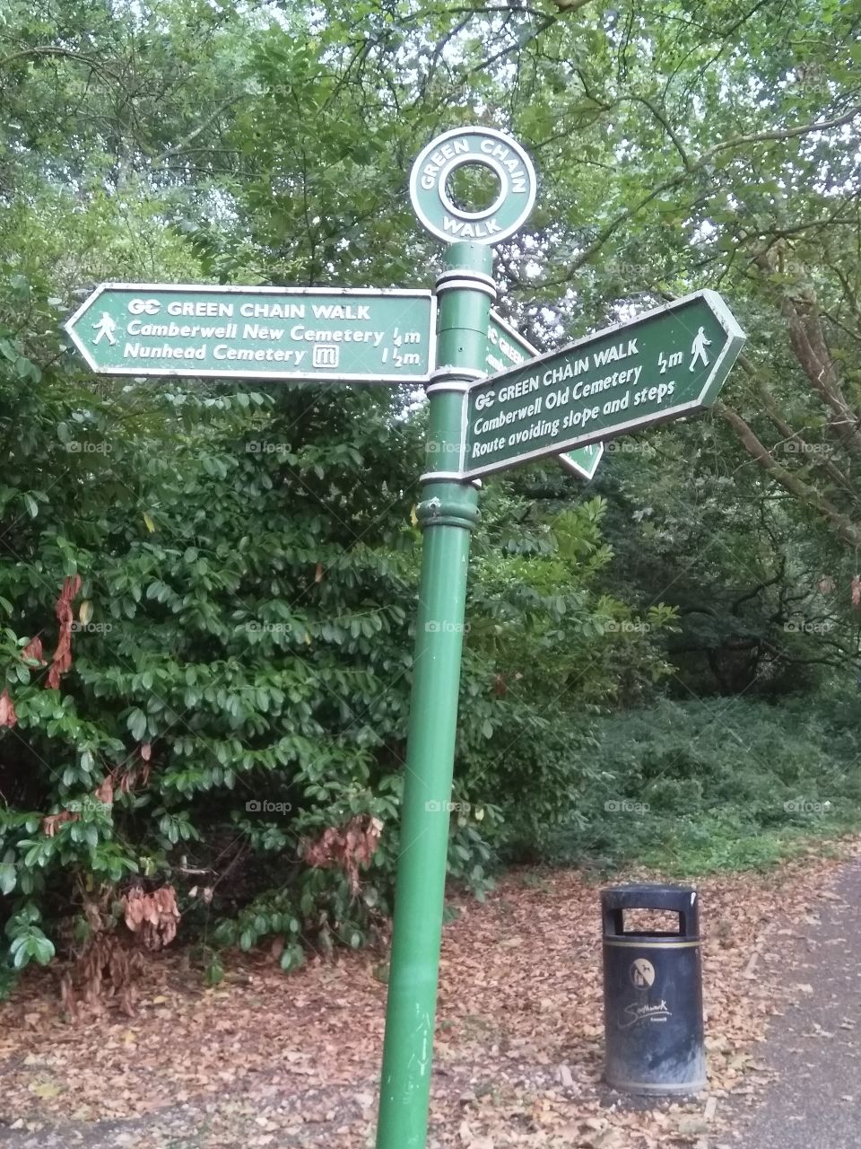 which way to go ?????????