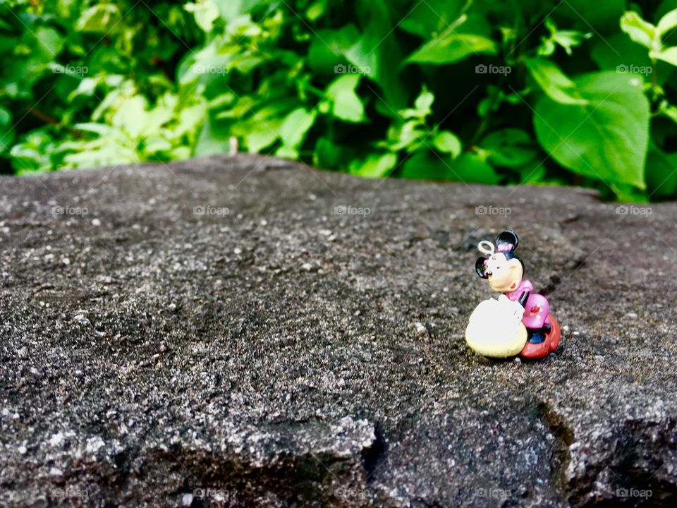 Forgotten Minnie. Someone left her in the garden. 