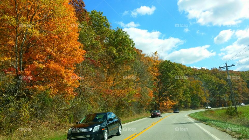 Driving Autum
