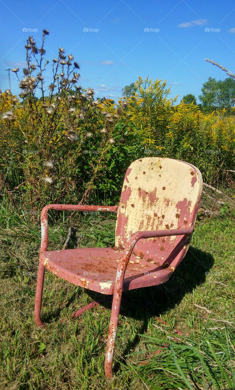 No Person, Seat, Nature, Chair, Wood