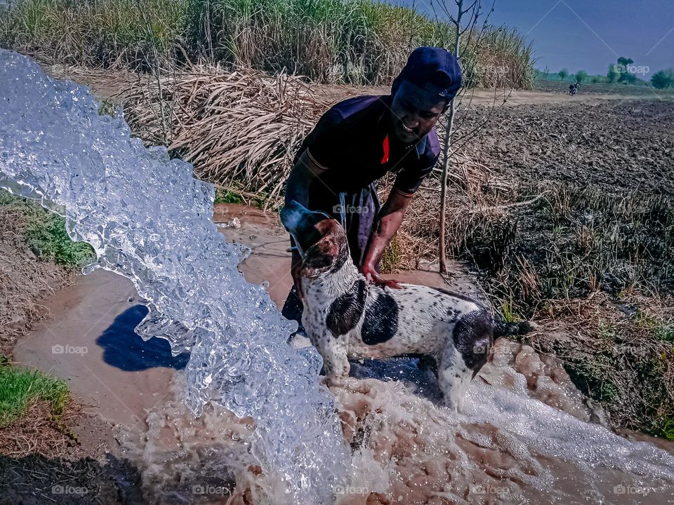 Boy and Dog in water