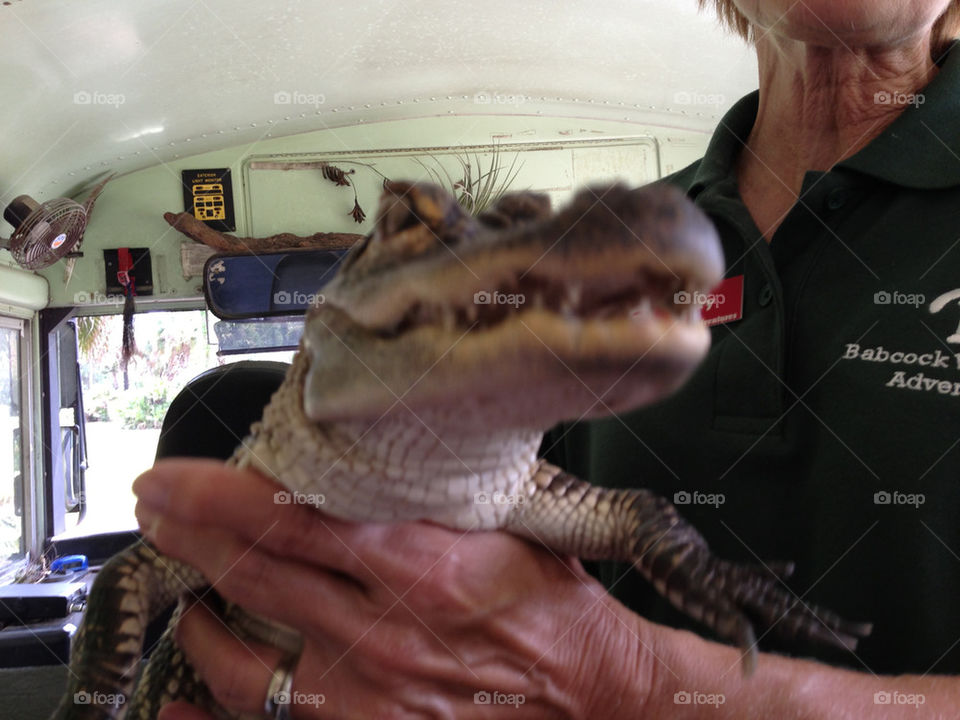 People, Adult, One, Man, Portrait