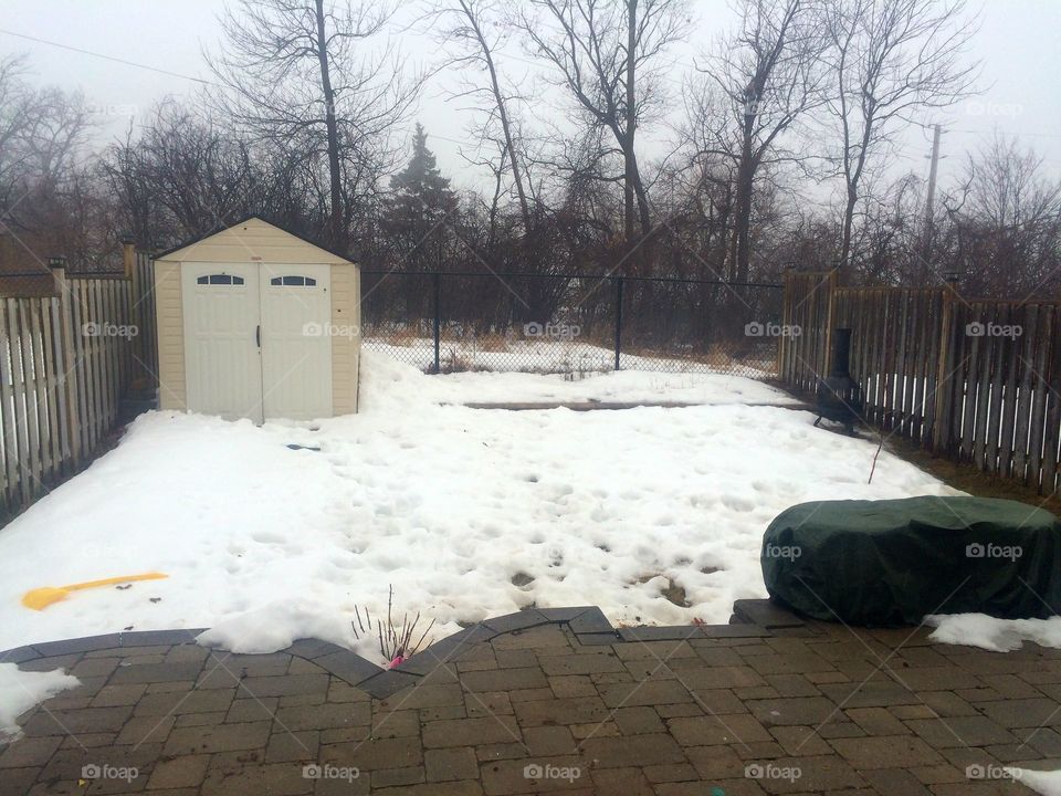 Snow, Winter, Cold, Weather, Landscape