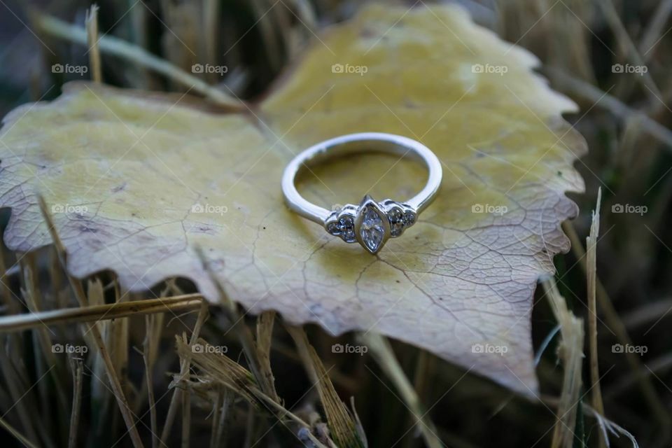 Heart You Forever. Found this beautiful heart shaped leaf during yesterday's engagement session. 