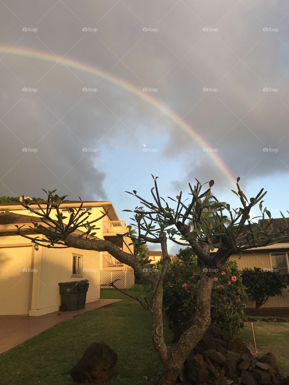 A Rainbow afternoon 