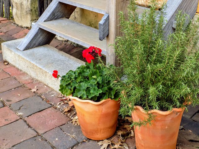 Simple gardening