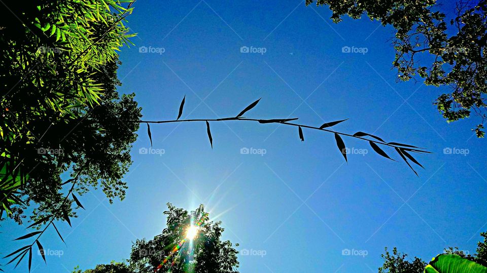 Walking through in the countryside