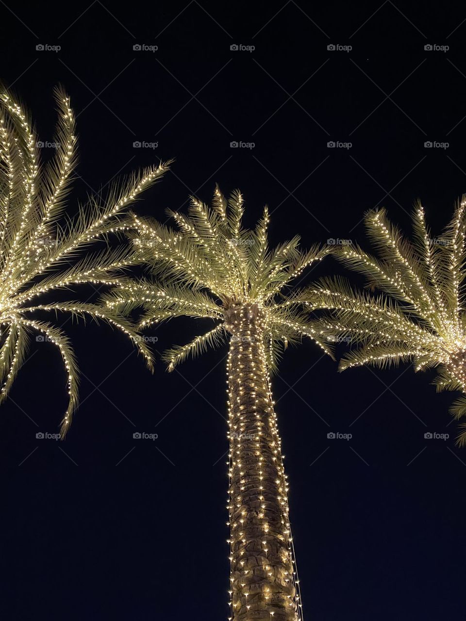 Palm trees during new year 