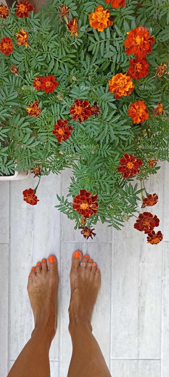 flowers in pot and female legs barefoot gardening, love earth 🌎