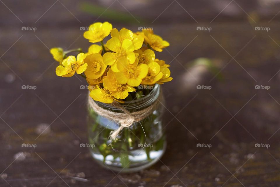 flowers in a vase