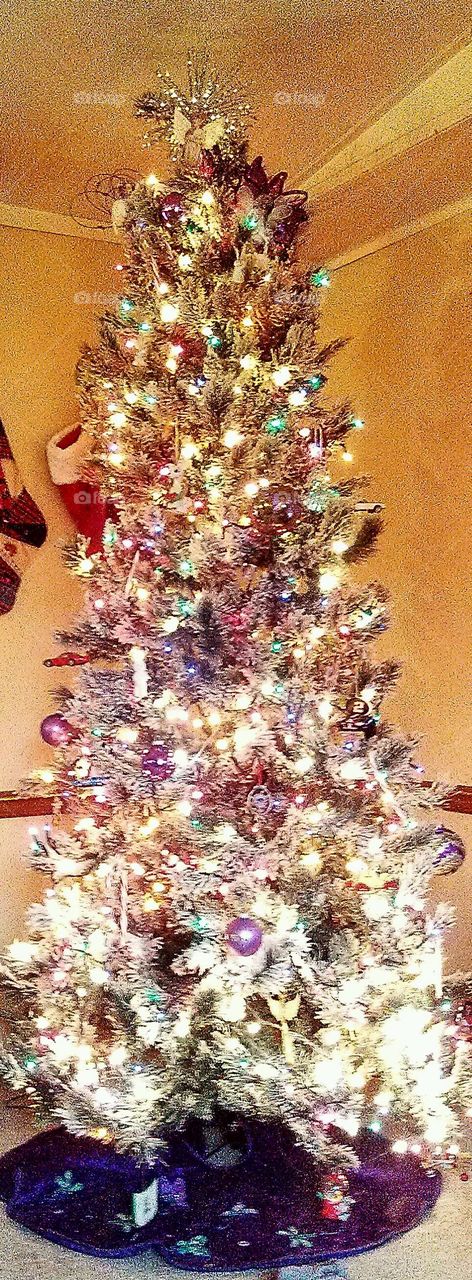 Christmas . Merry Christmas Tree