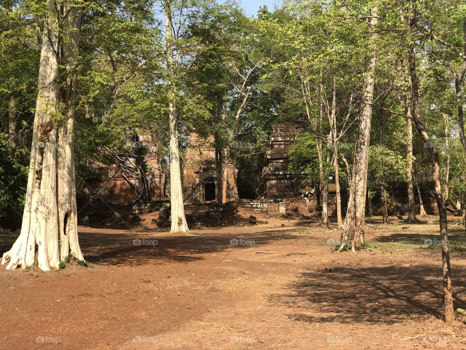 Hindu and Buddhist Ruins in The Jungle and Rainforest in Cambodia