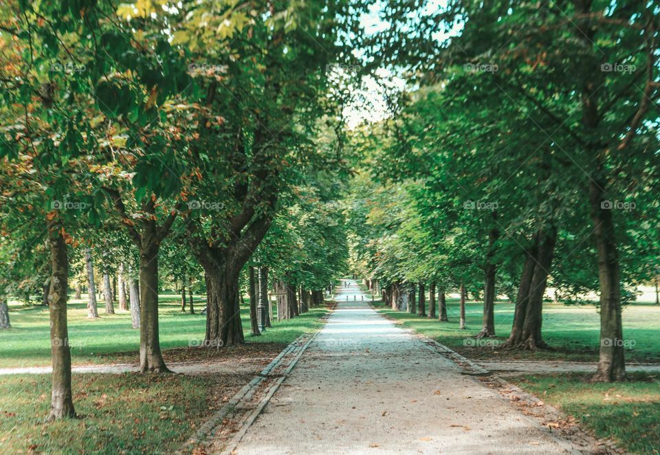 Park in the city