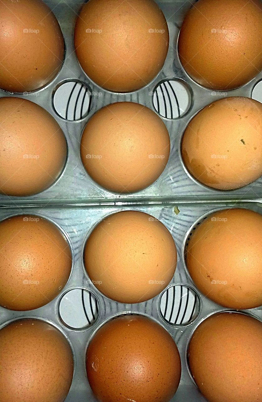 Chicken Eggs top view
