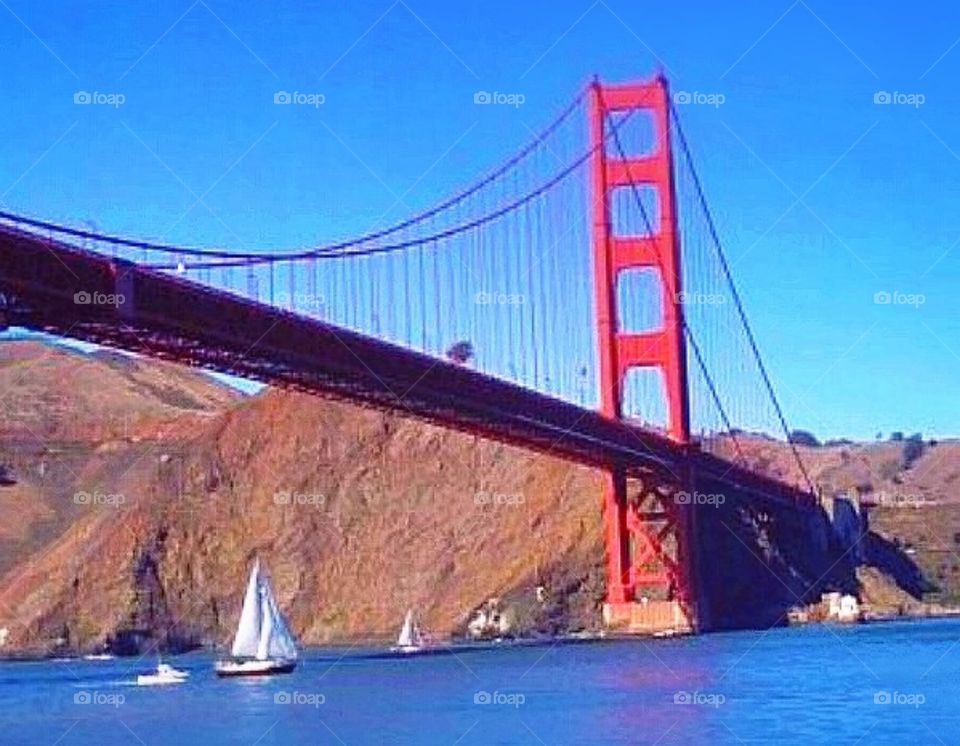Golden Gate