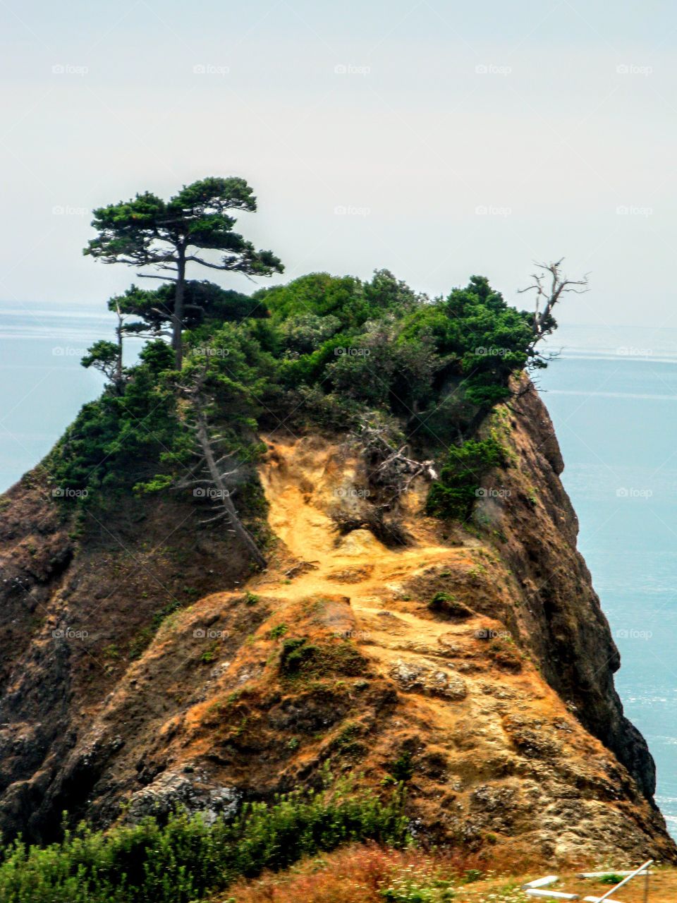 Nature Prevails on this Cliff "Nature at Her Best"