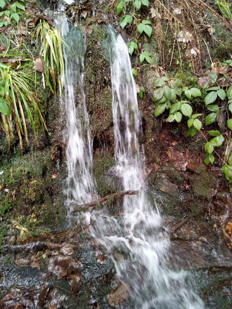 Wasserfall