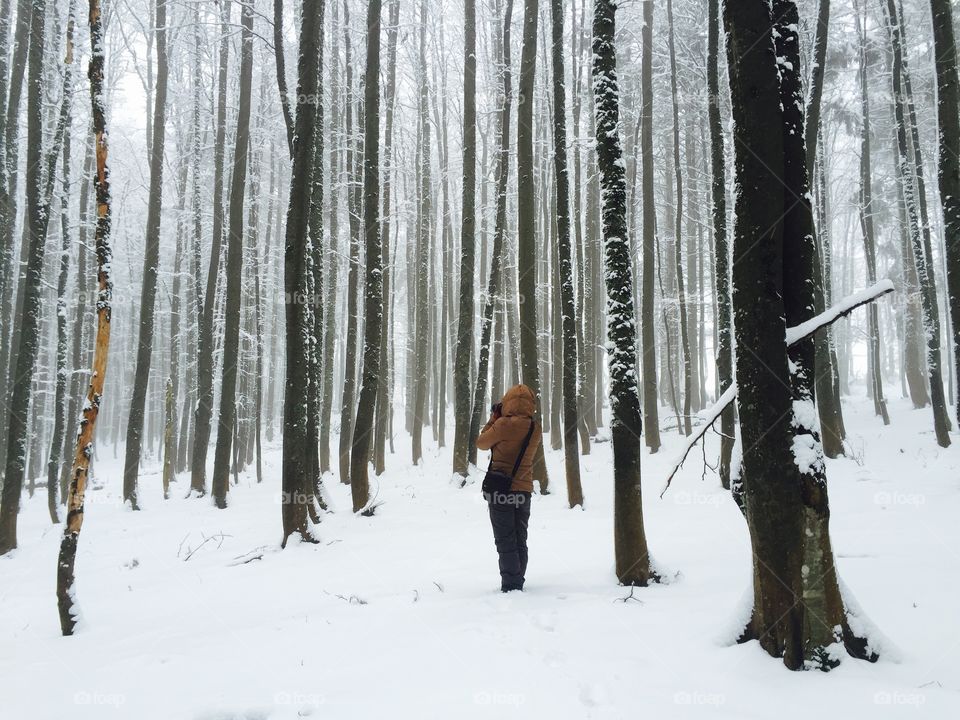 Photographer in magical Forest during winter
