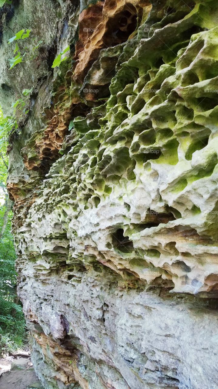 rock wall at ferne clyffe state park in Illinois