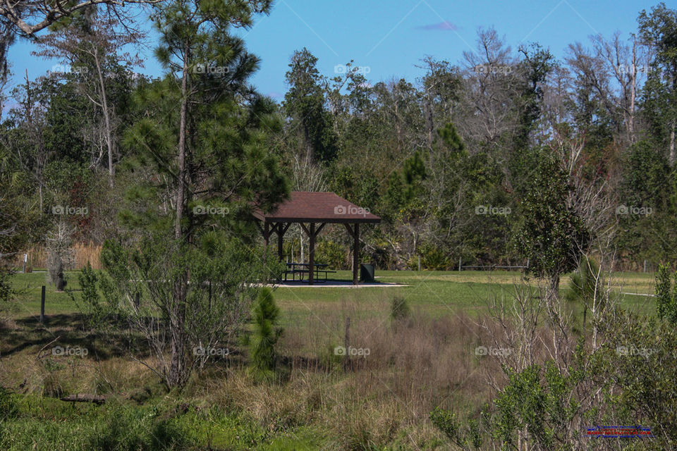 Gazebo