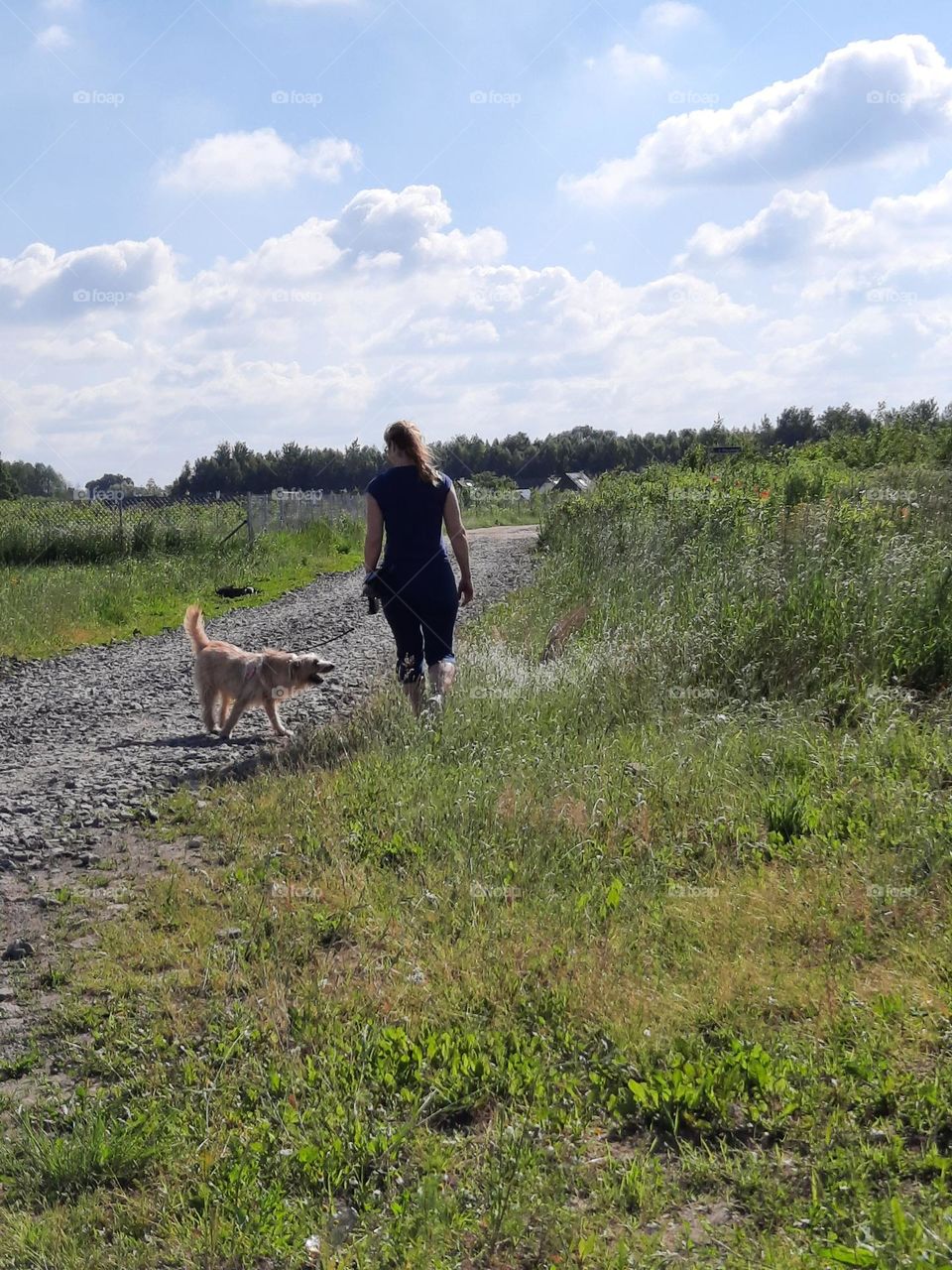 hiking with a nice dog