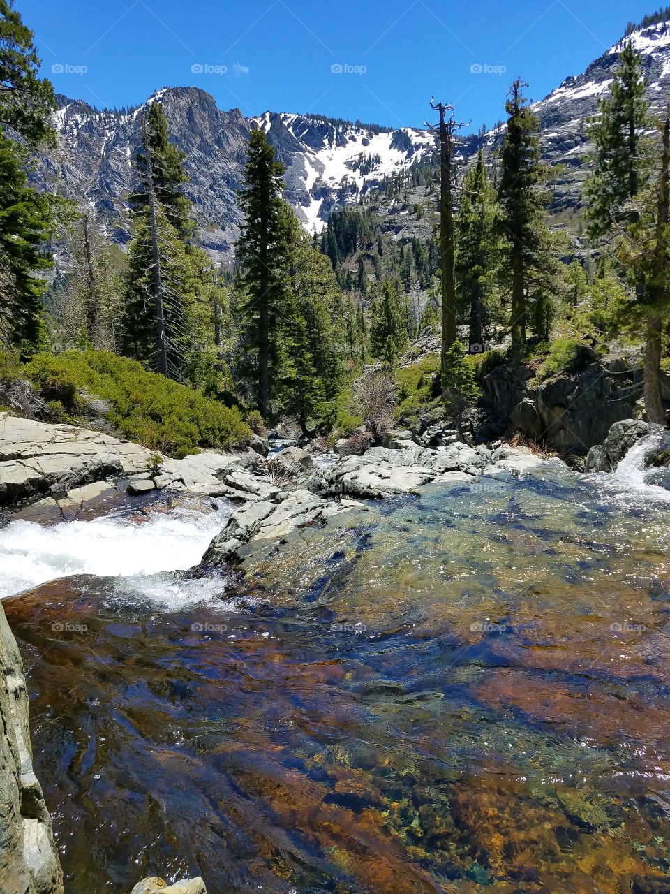 springtime flow in the Sierras