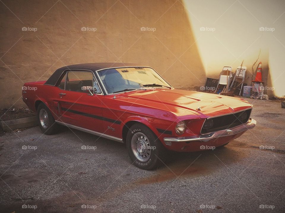 Red mustang 
