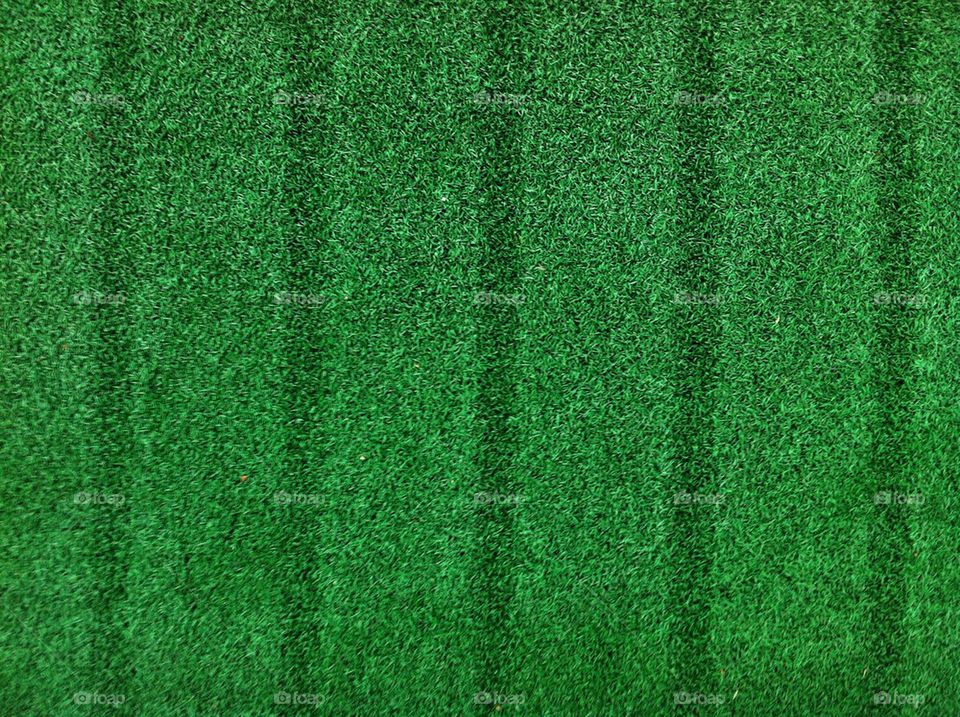 Grass texture