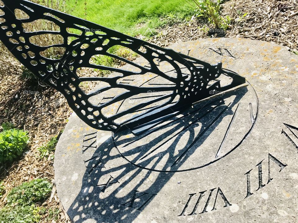 Gorgeous sites seen out for morning walk while trying to take in what nature all has to offer! 