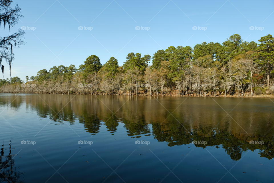 Caddo uncorked
Big cypress bayou
Reflection 
It is always different