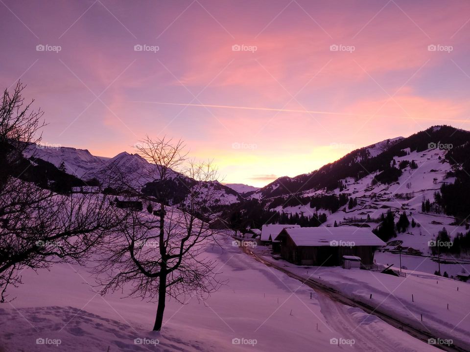 sonnenuntergang • sunset