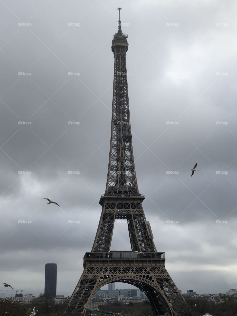 Eiffel Tower 