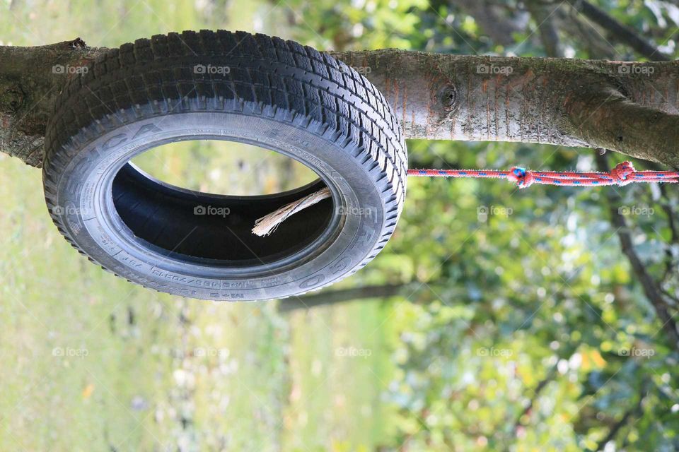 Tyred tree. A tyre hanging from tree. Self made playground.