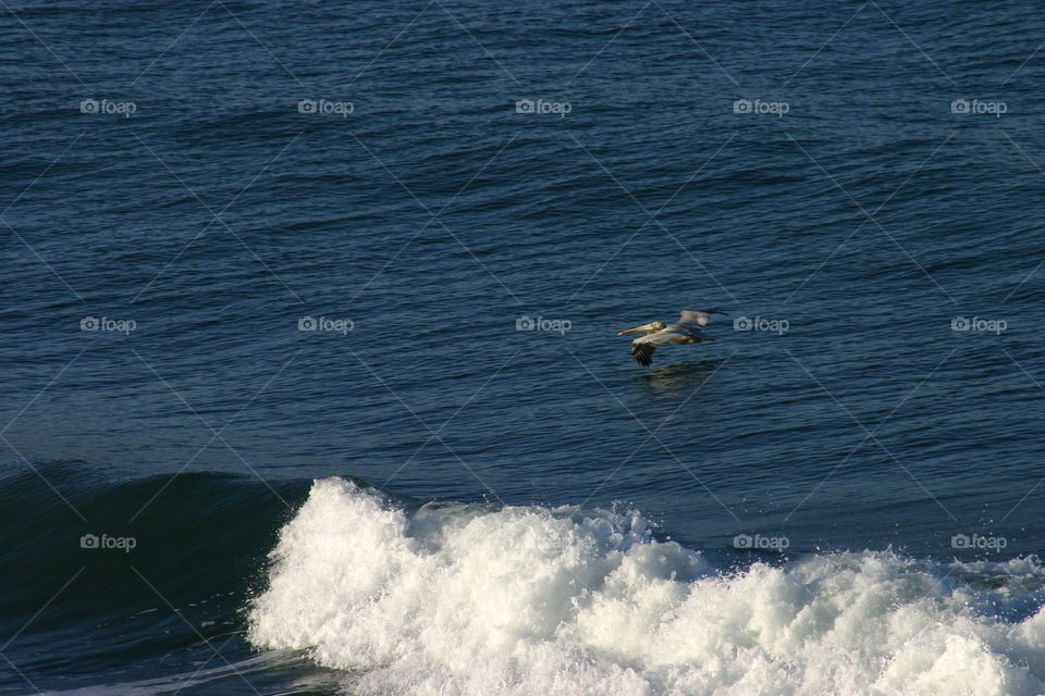 No Person, Water, Ocean, Sea, Surf