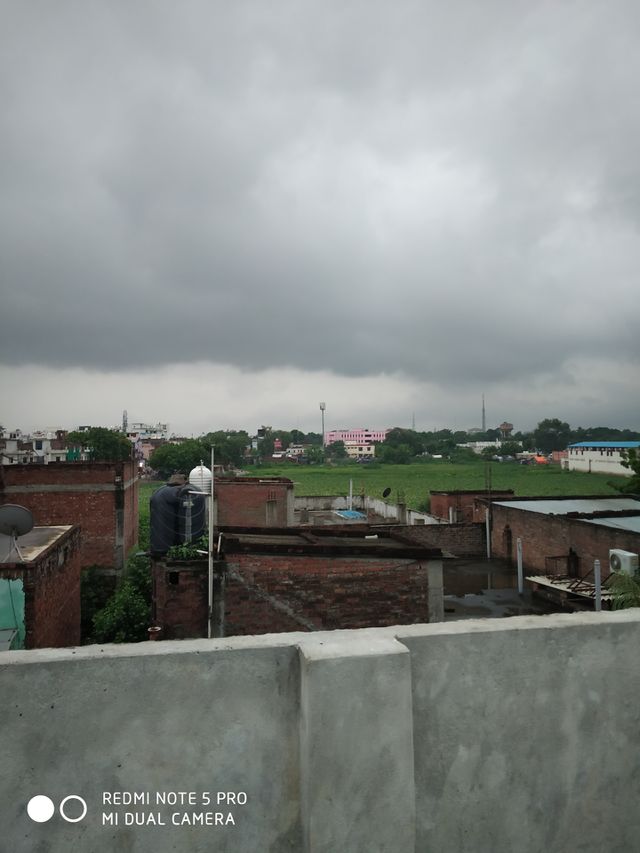 the city