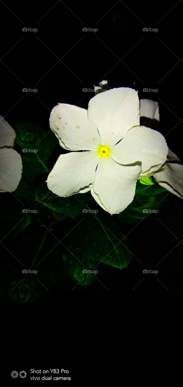 #foap #infoapartemen #foapjuly18 #foapaug18 #foapfeb18 #foapapril17 #foapers #foapjune18 #fotografoaprendiz #sfoapprentices #foaper #infoapartment #foapmission #foapmay18 #foapapr18 #foapit #infoaplikasipaytren #infoapple #foapom #foapjan19 #infoapp 